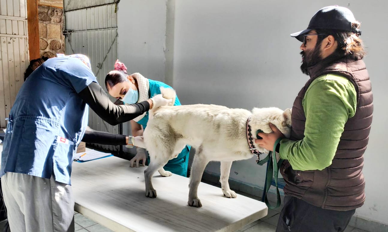 Llega a Muñoztla la campaña de esterilización